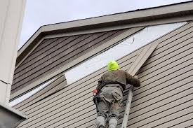 Best Vinyl Siding Installation  in Warson Woods, MO